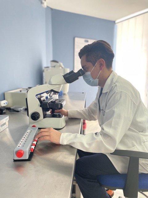 image in the gallery