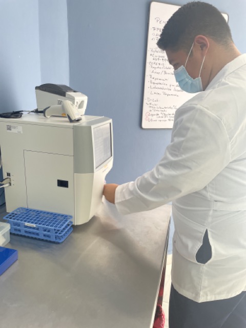 image in the gallery