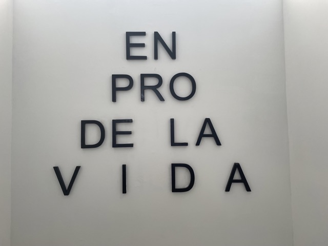 image in the gallery