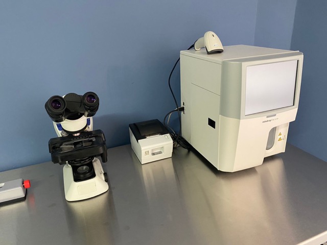 image in the gallery